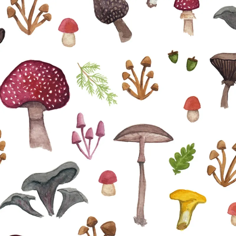 Mushroom Pattern 5 x 7 Watercolour Print