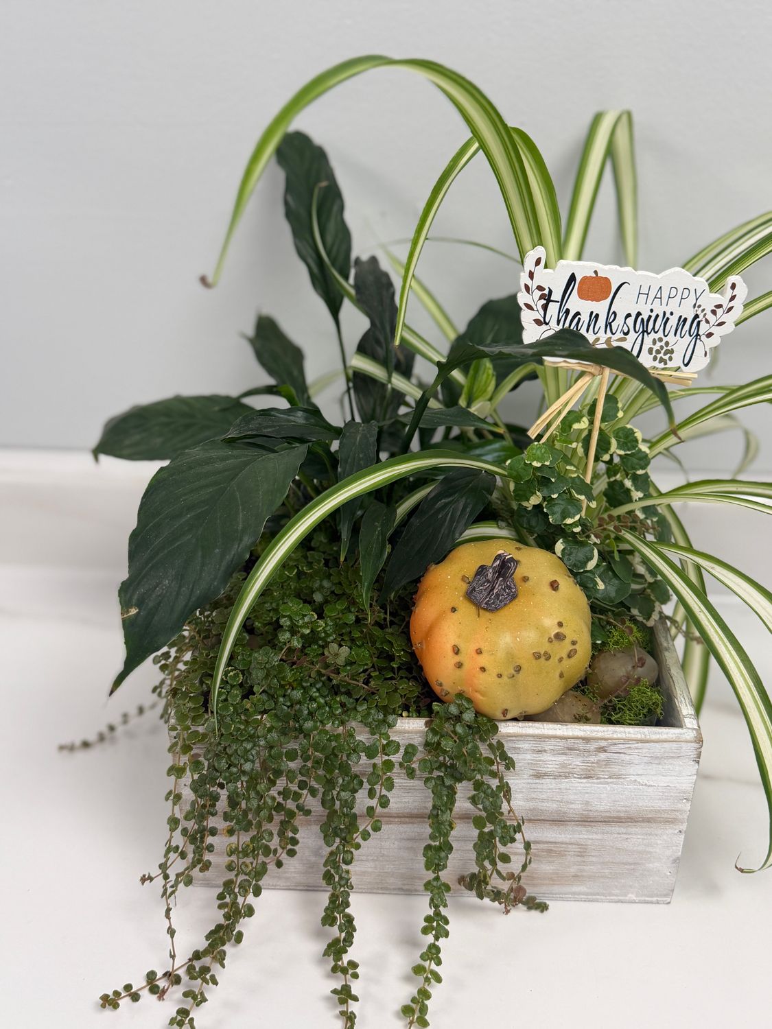 Thanksgiving Mixed Indoor Wood Planter