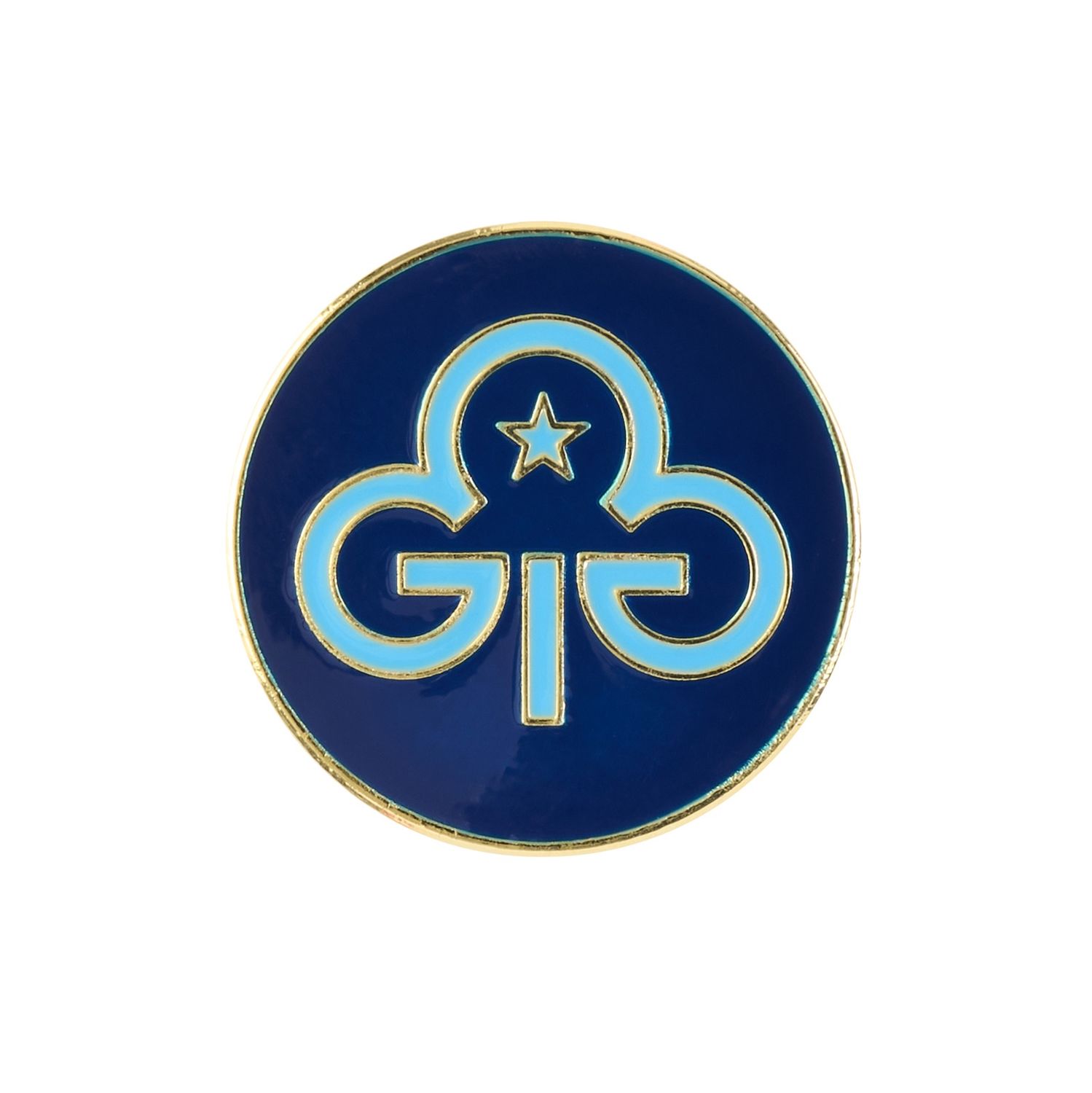 Young volunteer promise, Option: Metal Badge