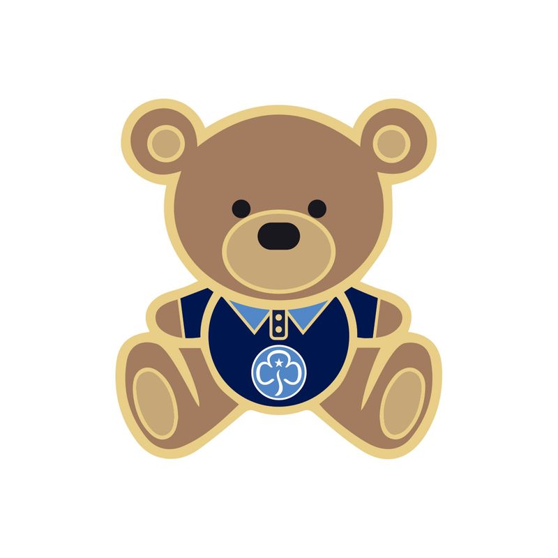 Leaders teddy pin badge