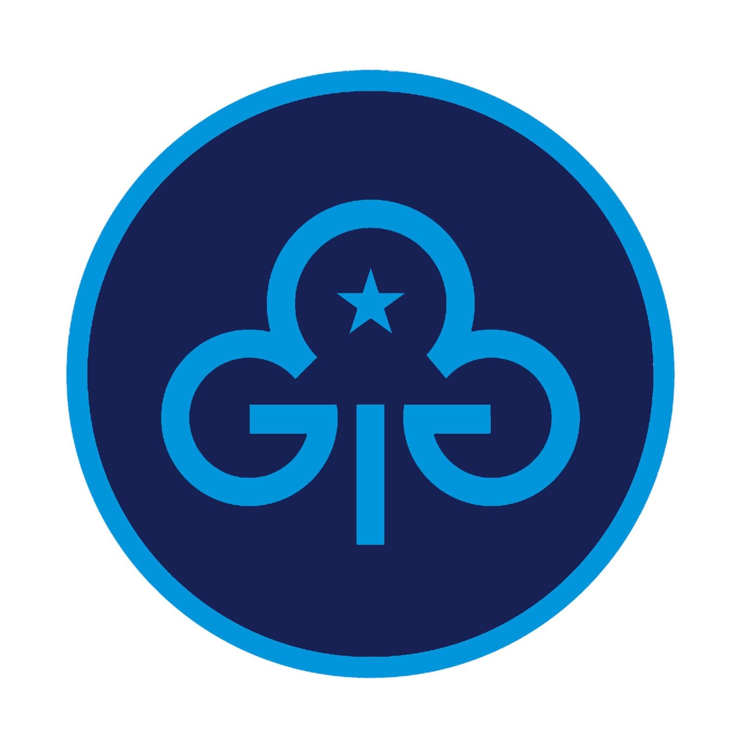 Young volunteer trefoil woven badge (2023)