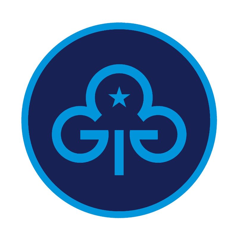 Young volunteer trefoil woven badge (2023)