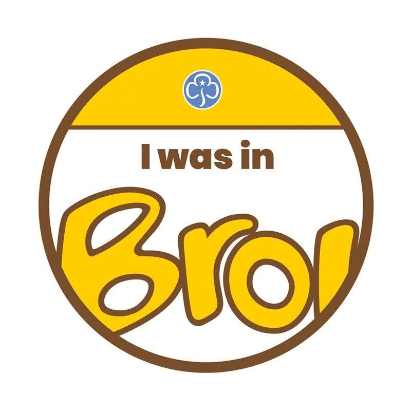 I was in Brownies woven badge (old trefoil)