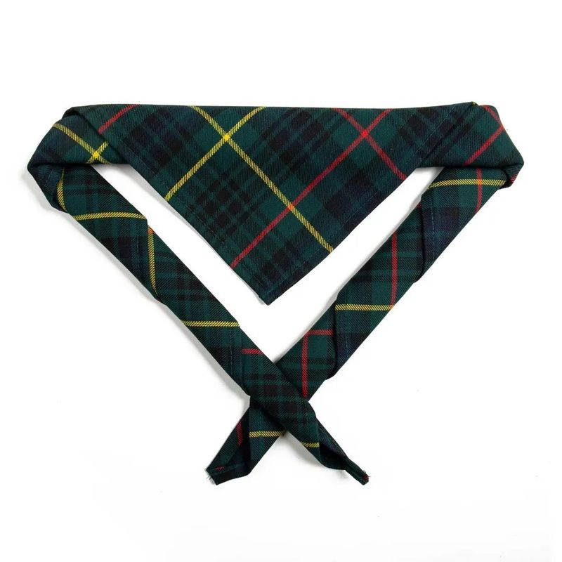 Kids Hunting Stewart tartan scarf/necker