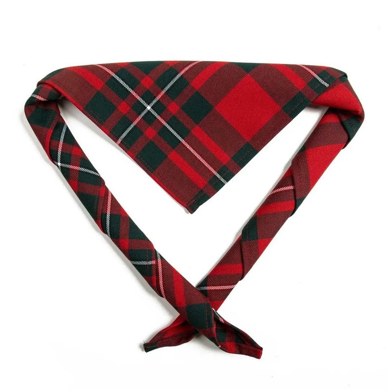 Kids Red MacGregor tartan scarf/necker