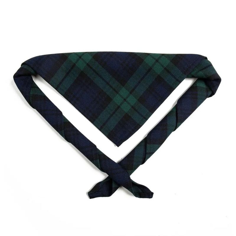Kids Black Watch tartan scarf/necker