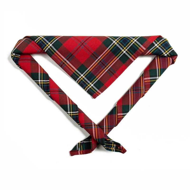 Kids Red McLean tartan scarf/necker