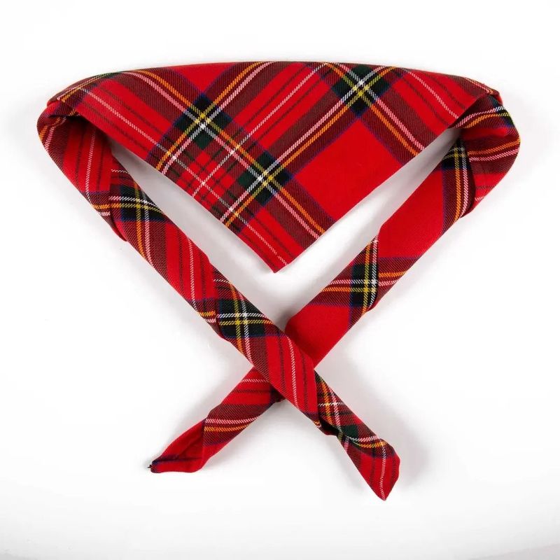 Kids Royal Stewart tartan scarf/necker