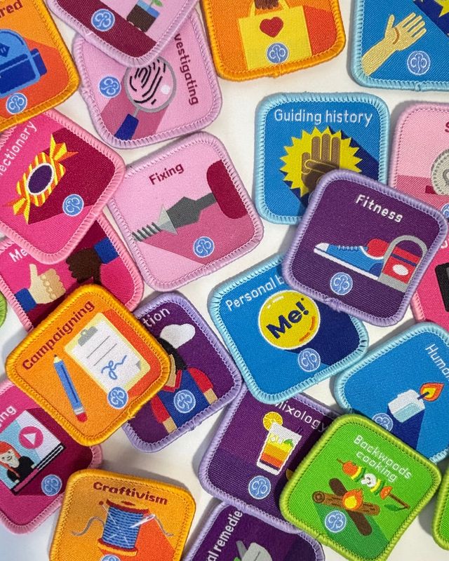 Guides interest badges