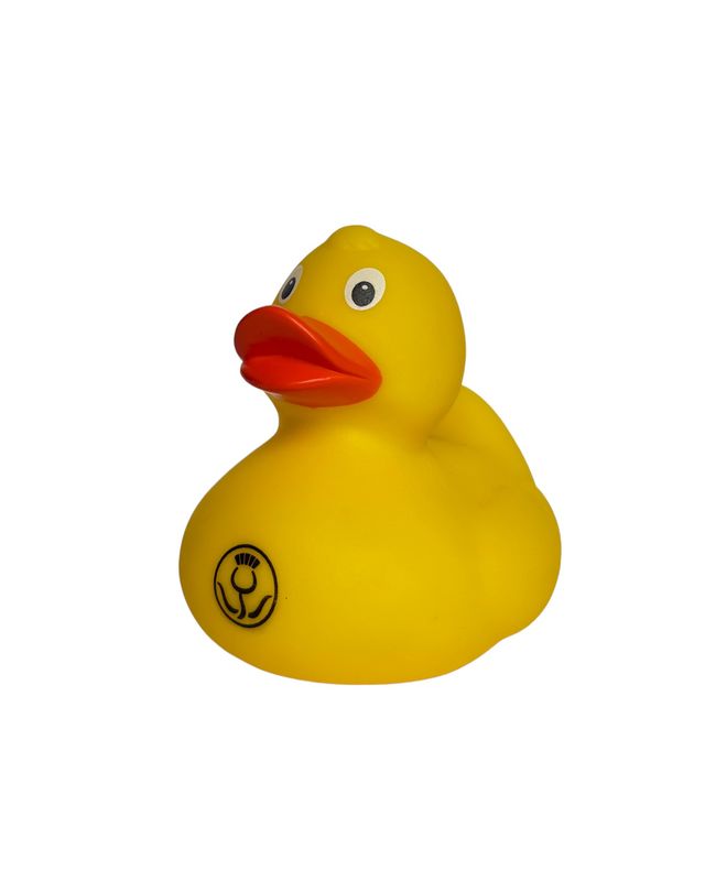 GGS out &amp; about 2023 daphne duck