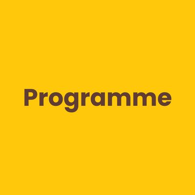 Brownies programme