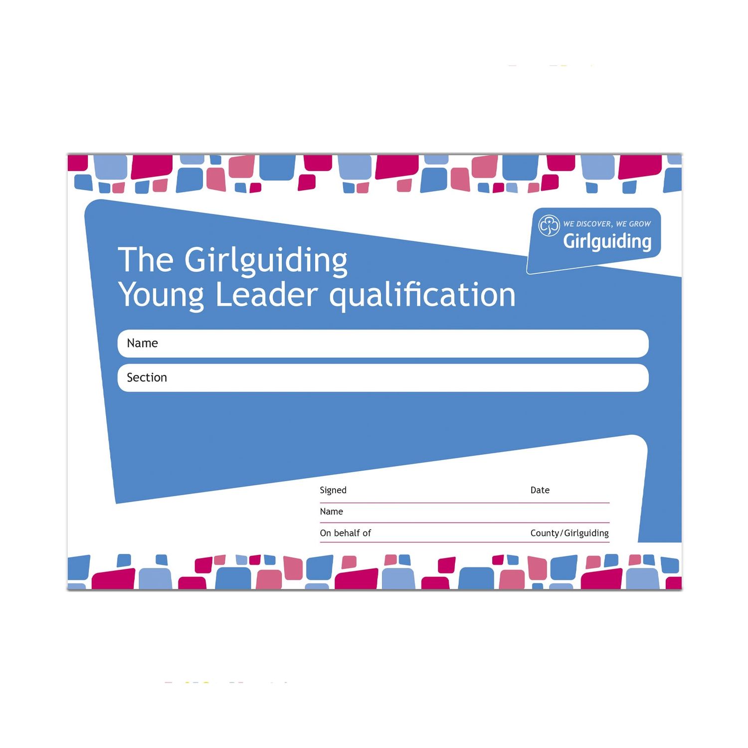 Young leader qualification, Option: Certificate