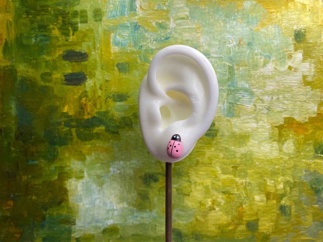 Arete catarina