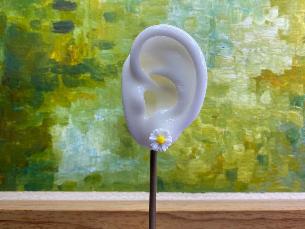 Arete florecita