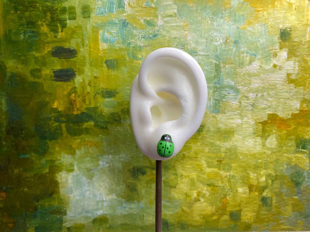 Arete catarina
