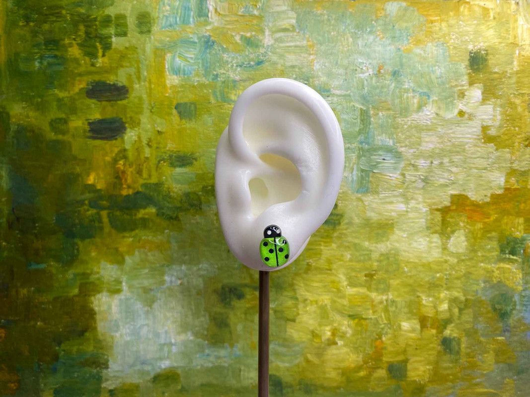 Arete catarina