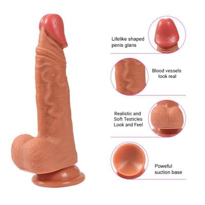 Lifelike ® Eternity (19 cm x 3.5cm) Lifelike ® Eternity (19 cm x 3.5cm)