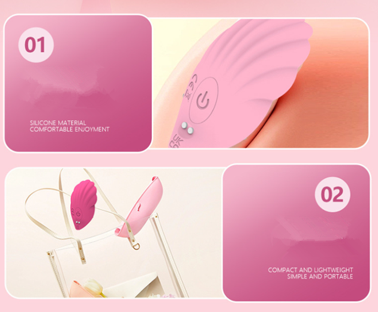 The Secret : App Couples Panty Vibrator From Adult Luxury