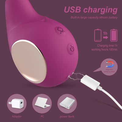 Adult Luxury Premium WaveAir Vibrator