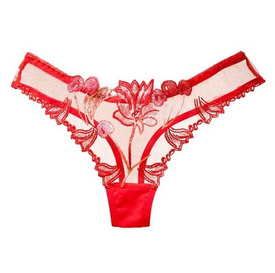Red Hot Lingerie Panties