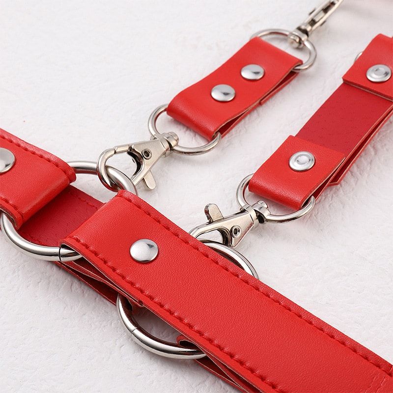 Adult Luxury Mystery Red BDSM Bondage Kit