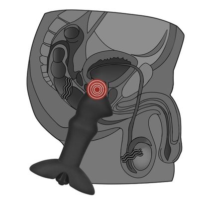 Anal Indulgence Vibrating Prostate Anal Butt Plug