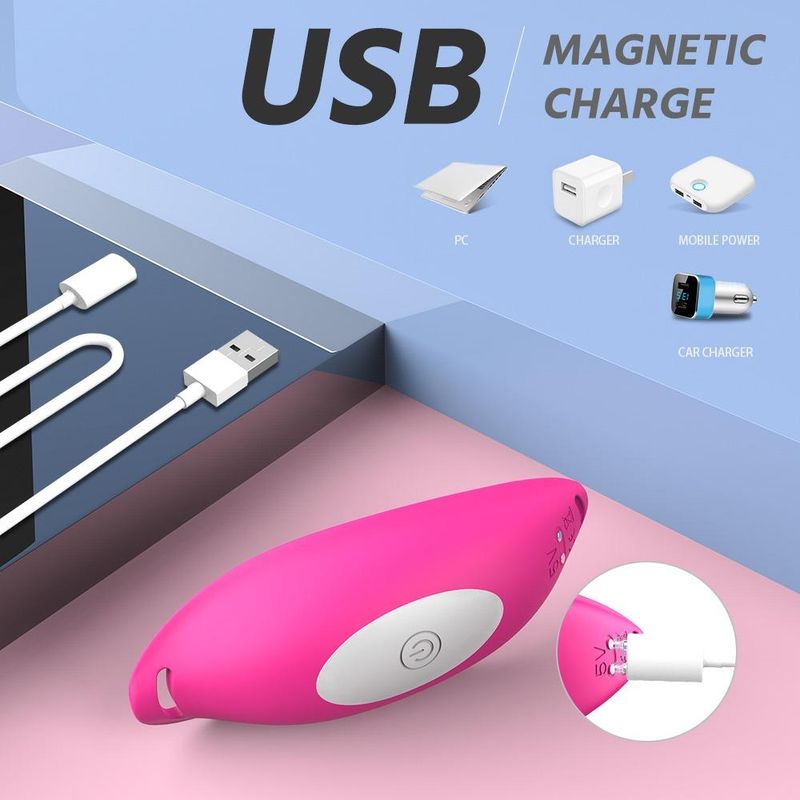 Naughty Secrets Panty and Panty Vibrator