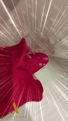 3 in 1 Rose Lick-Enamour Vibrator