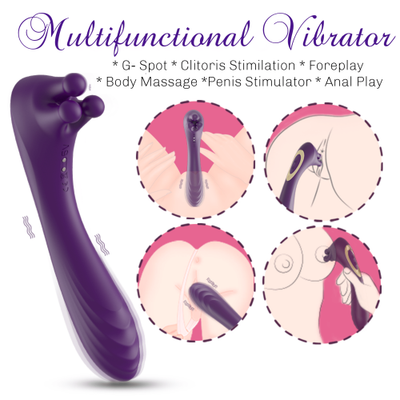 Radisson 6 in 1 Multifunction Vibrator