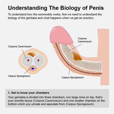 PowerUp Automatic Penis Pump