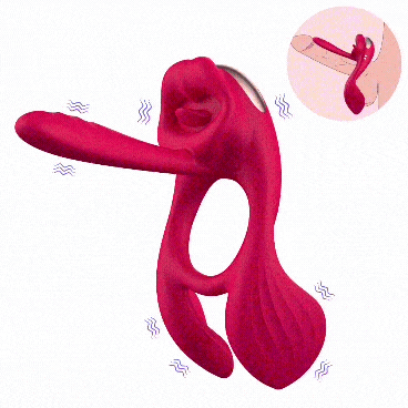 Adult Luxury 4-In One Premium Couples Toy