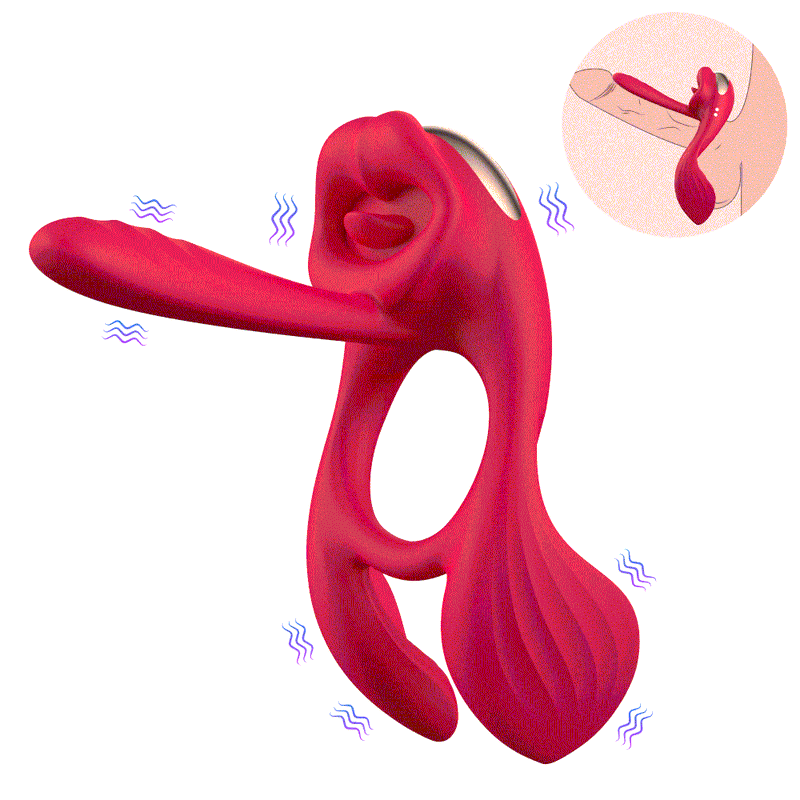 Adult Luxury 4 in 1 Premium Couples Toy