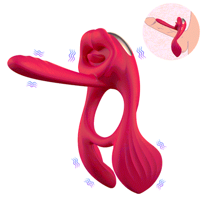 Adult Luxury 4 in 1 Premium Couples Toy