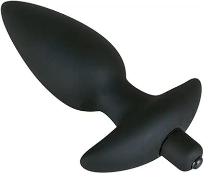 Adult Luxury Deluxe Vibrating Anal Plug + Bullet