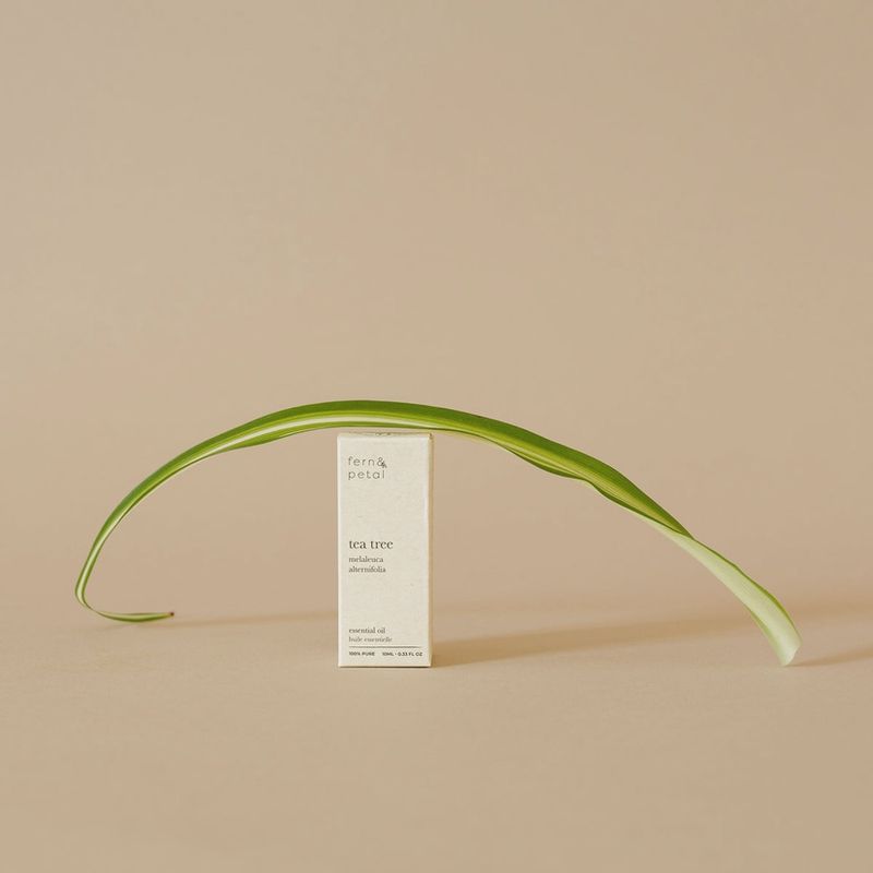 TEA TREE ESSENTIAL OIL