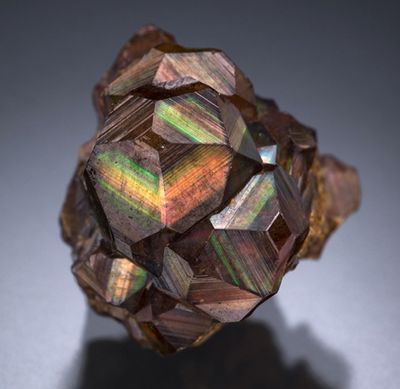 Specimens from Arlit, Niger