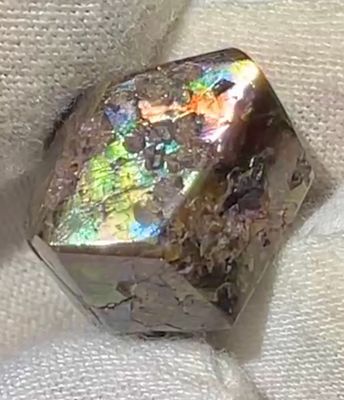 Free Form Polished Stones from Nevada