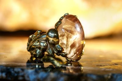 “ODE TO FUNGUS” – 23kt eco gold ring  with Oregon Sunstone Reverse Intaglio Cabochon