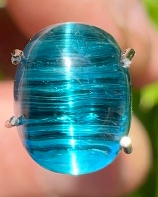 Phenonoma