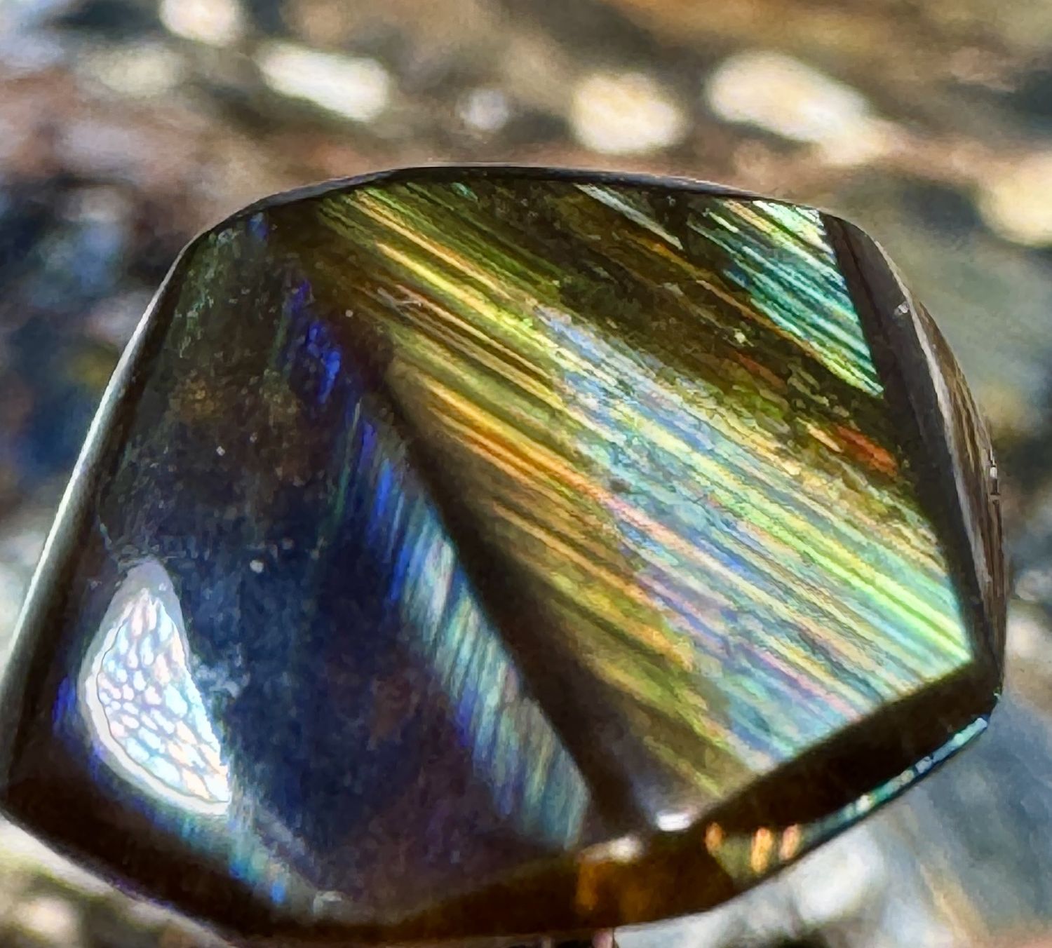&quot;The Spectral Shield&quot; Top Quality Rainbow Garnet Freeform Cabochon – San Pedro Mountain, New Mexico 7.4 ct | 16mm x 11mm x 5mm