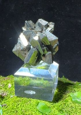 Fishtail Marcasite Twin Cluster – Cap Blanc-Nez, Pas-de-Calais, France