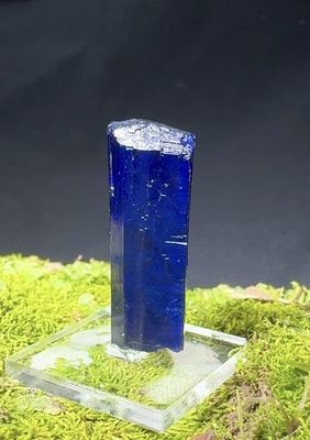 Azurite Crystal - Tsumeb Mine, Tsumeb, Oshinko Region, Namibia 31mm x 8mm x 6mm