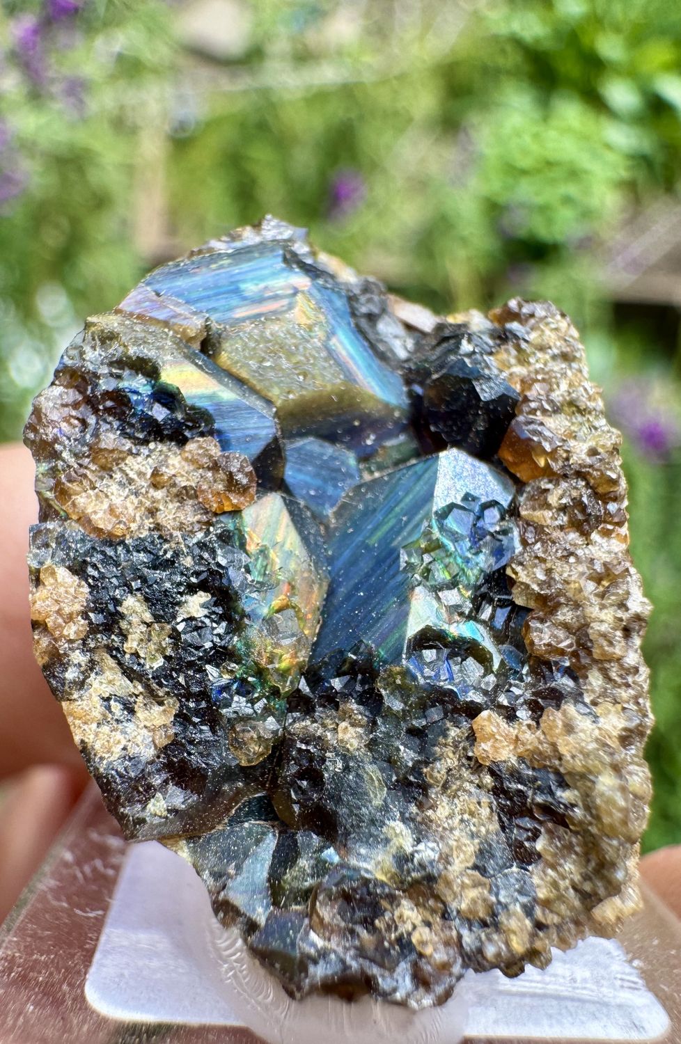Rainbow Andradite Garnet on Matrix – San Pedro Mountain, New Mexico IASSP067
