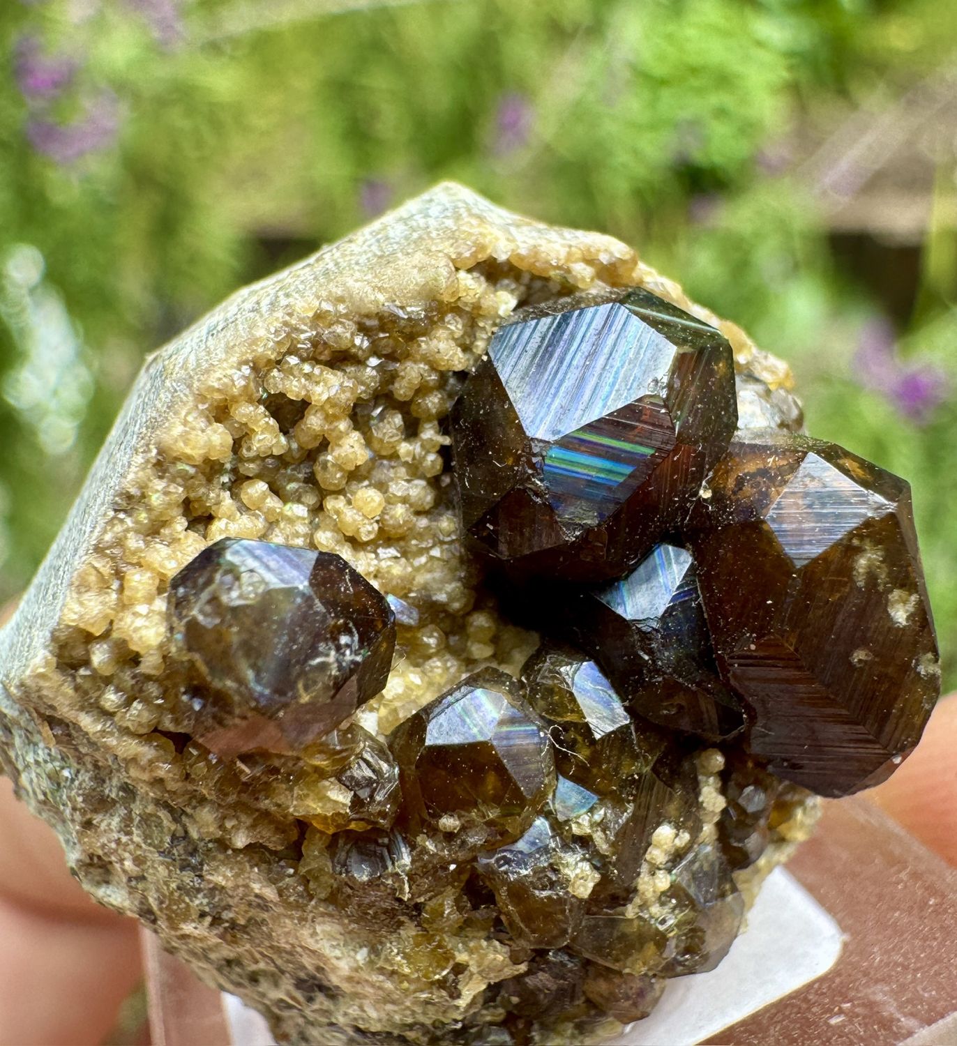 Rainbow Andradite Garnet on Matrix – San Pedro Mountain, New Mexico 28mm x 25mm x 9.5mm
