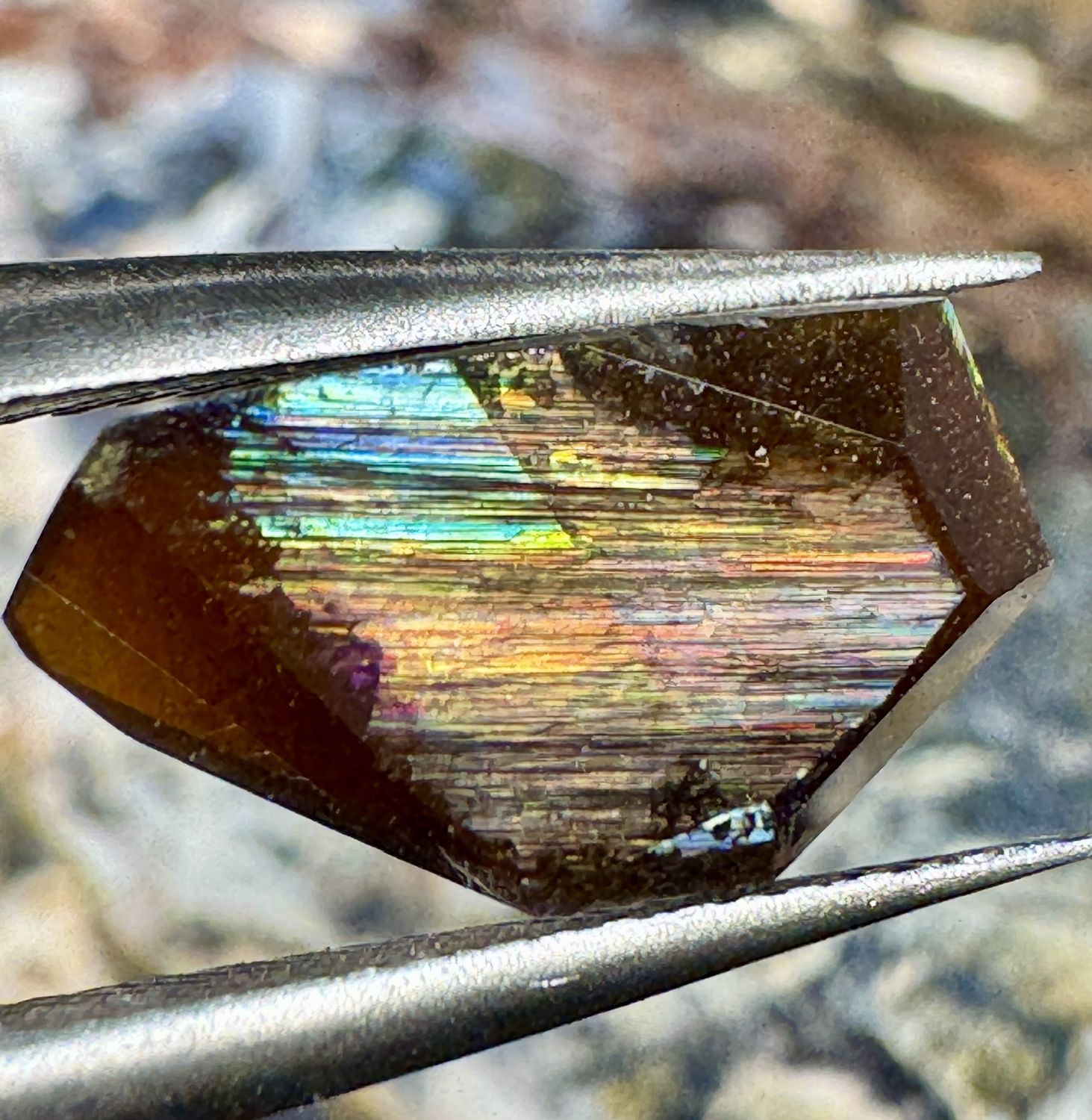 Faceted Rainbow Garnet – San Pedro Mountain, New Mexico 3.95 ct | 12.0mm x 6.0mm x 3.0mm