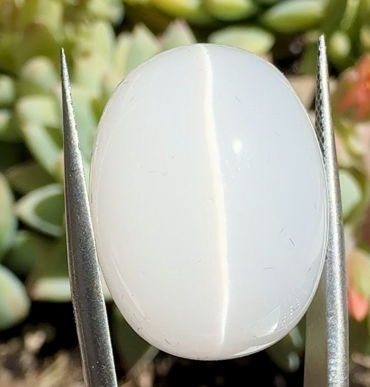 Sharp Chatoyant Quartz Cabochon, Golconda Mine, Minas Gerais, Brazil 22.66 ct | 20mm x 15mm x 5mm
