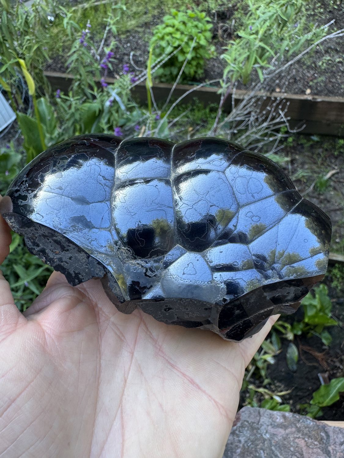 Massive Botryoidal Hematite Dome — Taouz Mine, Morocco