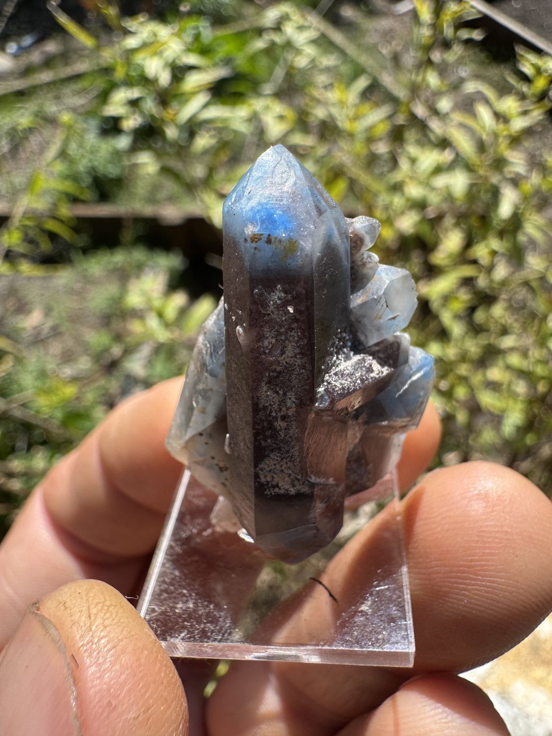 Papagoite &amp; Hematite Included Quartz, Messina, South Africa
