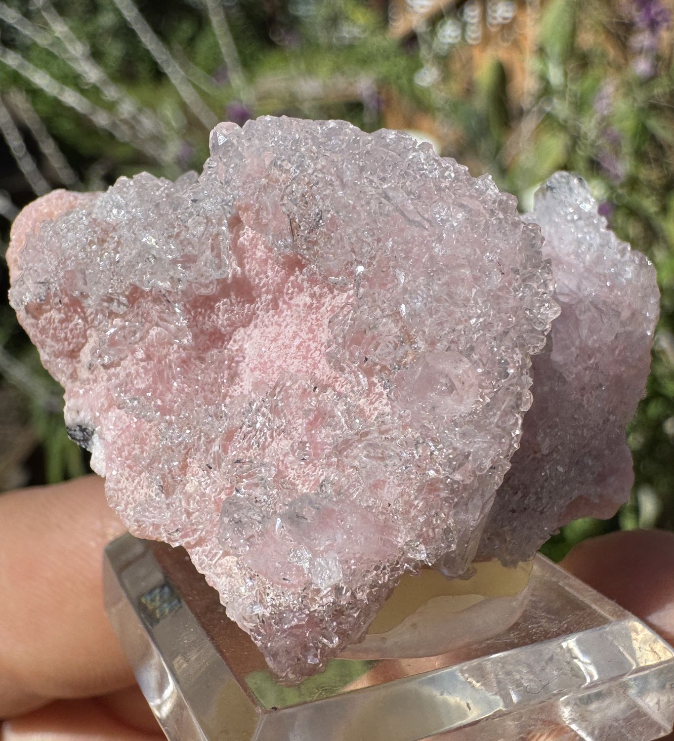 Rhodochrosite with Fine Druzy Quartz Overgrowth – N&#39;Chwaning Mine, Kalahari Manganese Fields, South Africa