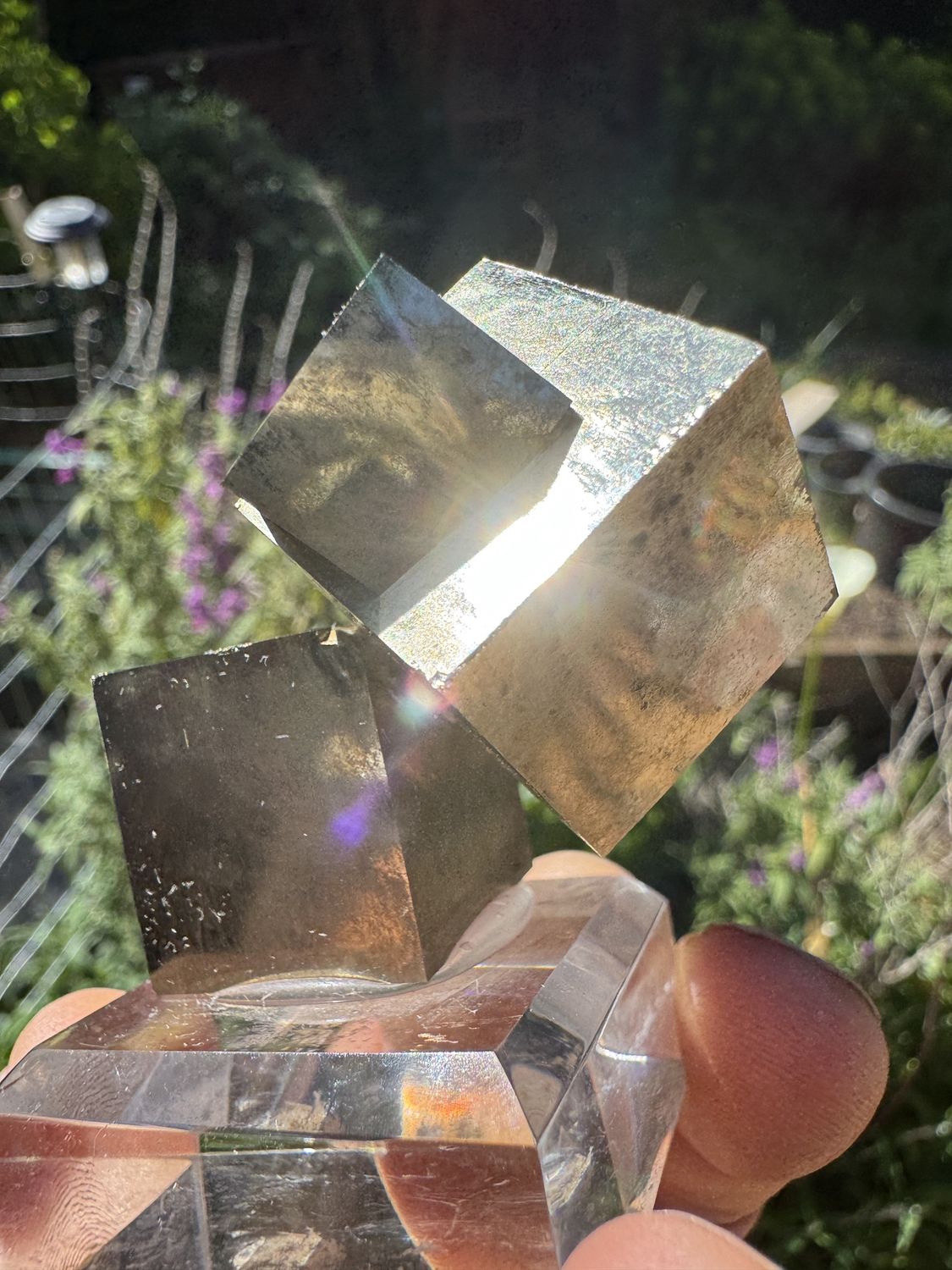 Pyrite Cube Cluster – Navajún, La Rioja, Spain